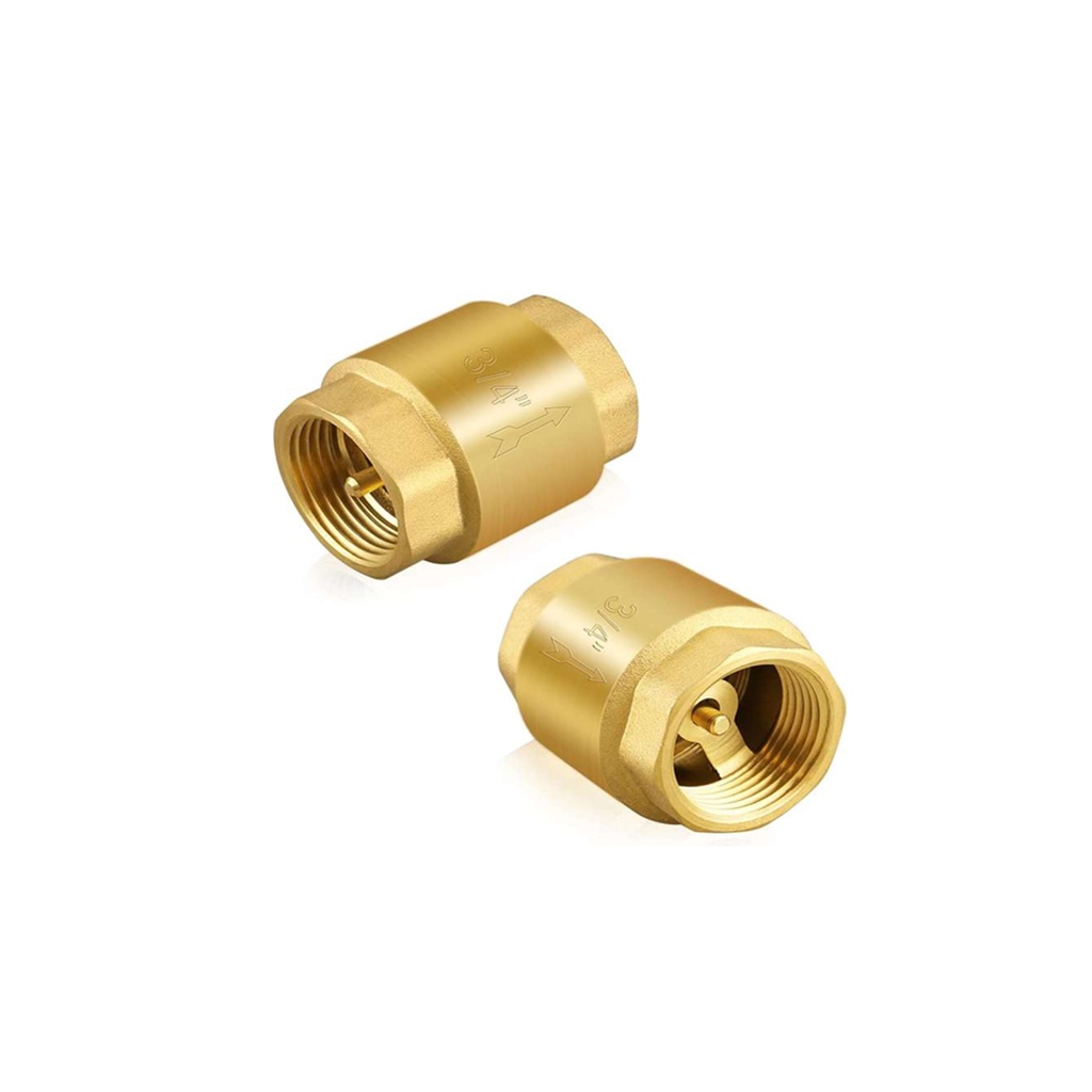 VALVULA CHECK BRON CH HORIZONTAL 1PULG