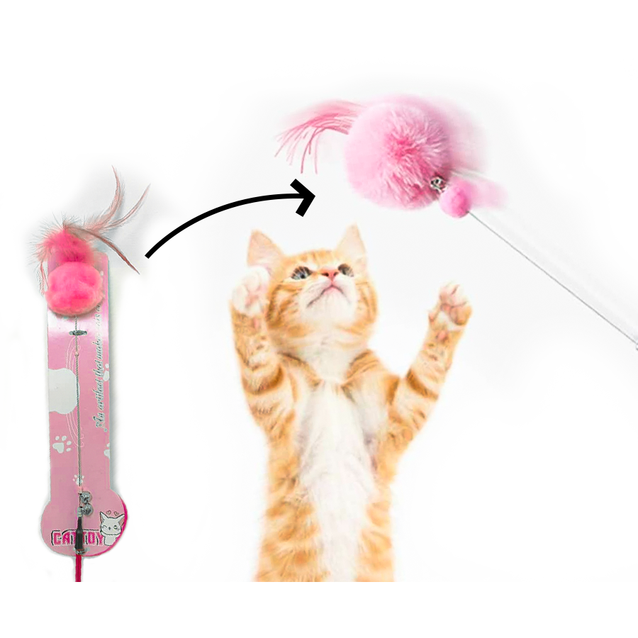 CATTOY JUGUETE TEASER CON PLUMA
