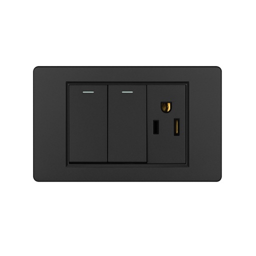 [LD-867] APAGADOR DOBLE CON TOMACORRIENTE