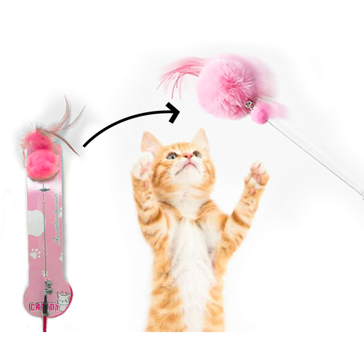 [YN1525] CATTOY JUGUETE TEASER CON PLUMA